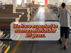 20 лет производства