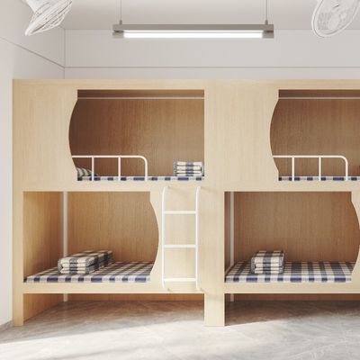 Support customization Functional Bunk Bed For Youth Hostel With 20 Designers And Automated Production Plant