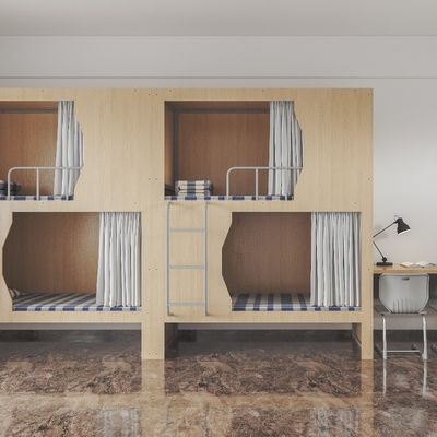 Support customization Functional Bunk Bed For Youth Hostel With 20 Designers And Automated Production Plant