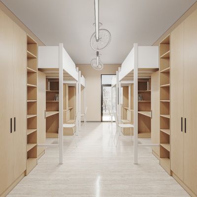 Support customization Beautiful and practical student apartment bed made of wood and metal material