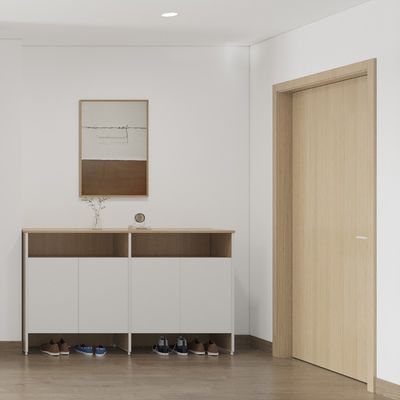 Support customization Simple and beautiful ISO9001 certification of the apartment furniture door cabinet shoe cabinet