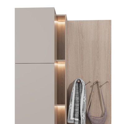 Shoe Cabinet Bookcase With Lamp Belt Design One-piece Wardrobe Support customization