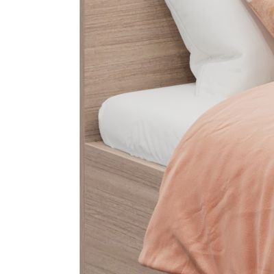 Modern Support customization Design Plate Type Single Bed For Hotels Apartments Homestays Queen King Sizes