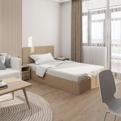 Modern Support customization Design Plate Type Single Bed For Hotels Apartments Homestays Queen King Sizes