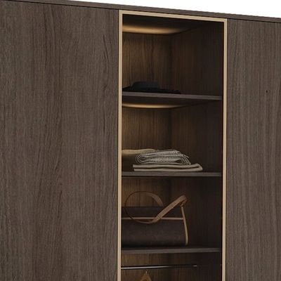 Modern Home And Hotel Wardrobes With Internal Hanging Rods And Drawer Dividers Support customization For Organized Bedroom Furniture