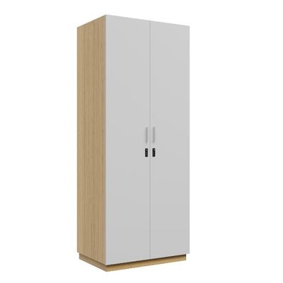 Support customization Modern Simple Design Steel Metal Bedroom Wardrobe with Hanging Rod Ample Storage Space Home Furniture for Hotel Living Room