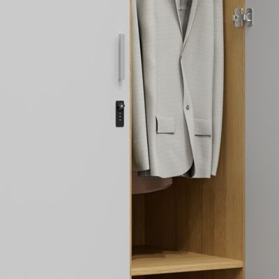 Support customization Modern Simple Design Steel Metal Bedroom Wardrobe with Hanging Rod Ample Storage Space Home Furniture for Hotel Living Room