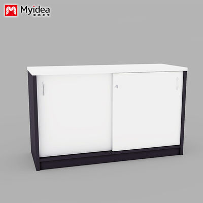 Company Office Data Storage, Lying Door Cabinet, Large Storage Space, Wall Mounted, Floor Standing Cabinet, Customizable File Cabinet