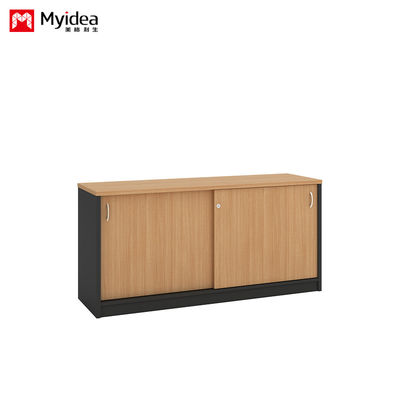 Company Office Data Storage, Lying Door Cabinet, Large Storage Space, Wall Mounted, Floor Standing Cabinet, Customizable File Cabinet