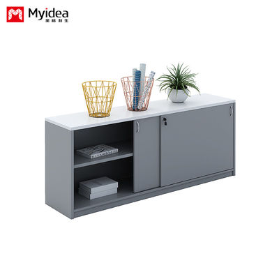 Company Office Data Storage, Lying Door Cabinet, Large Storage Space, Wall Mounted, Floor Standing Cabinet, Customizable File Cabinet