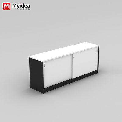 Company Office Data Storage, Lying Door Cabinet, Large Storage Space, Wall Mounted, Floor Standing Cabinet, Customizable File Cabinet