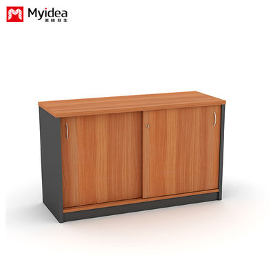 Company Office Data Storage, Lying Door Cabinet, Large Storage Space, Wall Mounted, Floor Standing Cabinet, Customizable File Cabinet