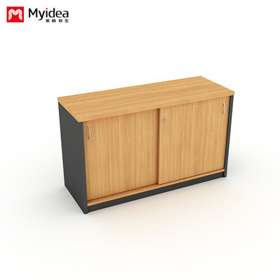 Company Office Data Storage, Lying Door Cabinet, Large Storage Space, Wall Mounted, Floor Standing Cabinet, Customizable File Cabinet