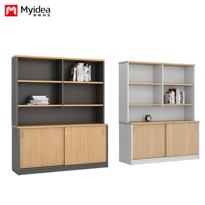 Company Office Data Storage, Lying Door Cabinet, Large Storage Space, Wall Mounted, Floor Standing Cabinet, Customizable File Cabinet
