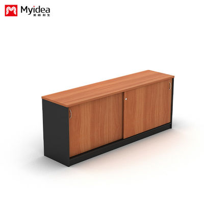 Company Office Data Storage, Lying Door Cabinet, Large Storage Space, Wall Mounted, Floor Standing Cabinet, Customizable File Cabinet
