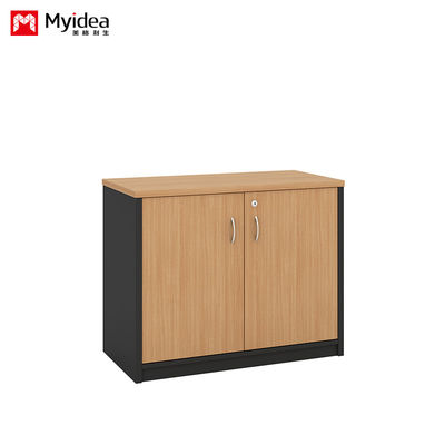 Double Door With Key Lock, Large Capacity Filing Cabinet, Wall Mounted Low Cabinet, Customizable Classified Filing Cabinet
