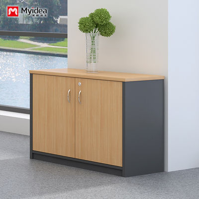 Double Door With Key Lock, Large Capacity Filing Cabinet, Wall Mounted Low Cabinet, Customizable Classified Filing Cabinet