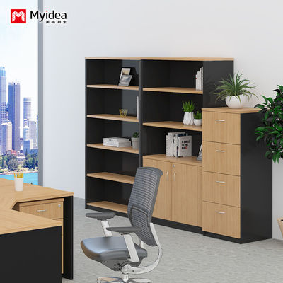 Double Door With Key Lock, Large Capacity Filing Cabinet, Wall Mounted Low Cabinet, Customizable Classified Filing Cabinet