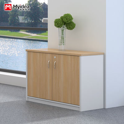Double Door With Key Lock, Large Capacity Filing Cabinet, Wall Mounted Low Cabinet, Customizable Classified Filing Cabinet