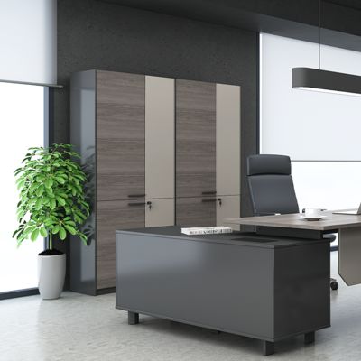 Office Filing Cabinets For Orderly Storage, Secure Storage, Worry Free Work, Light Industrial Style, Simple And Durable Office