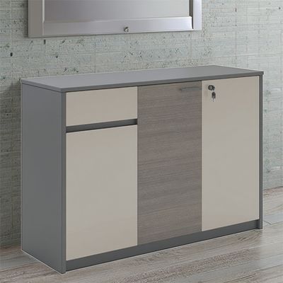 Company Leisure Area, Fashionable Tea Water Cabinet, Board Type Storage, Document Items, Low Cabinet, Practical Office, Wall Mounted, Floor Standing Cabinet