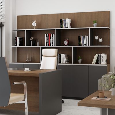 Office Back Cabinet Combination Multi Functional Light Industry Wind Wrapped Edge Design Book Display Independent Office Back Cabinet