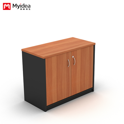 Double Door with Key Lock, Large Capacity Filing Cabinet, Wall Mounted Low Cabinet, Customizable Classified FilingCabinet